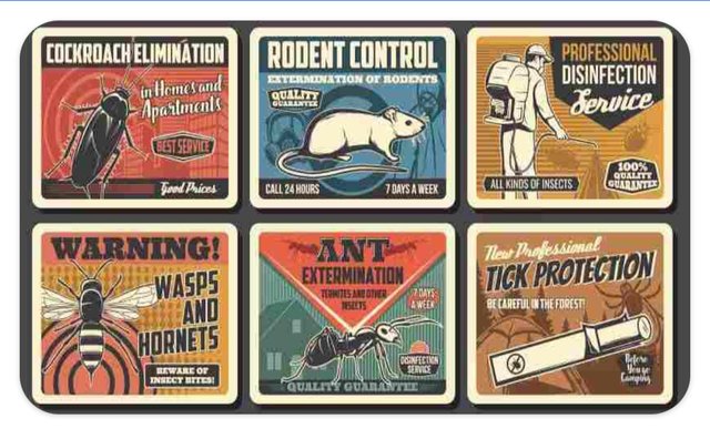 All Types Pest Control Services, Termite,ant, cockroach, Rodents tick,Bed Bug