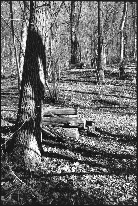 Rollei 35 S_22mar2022_08 (858x1280)