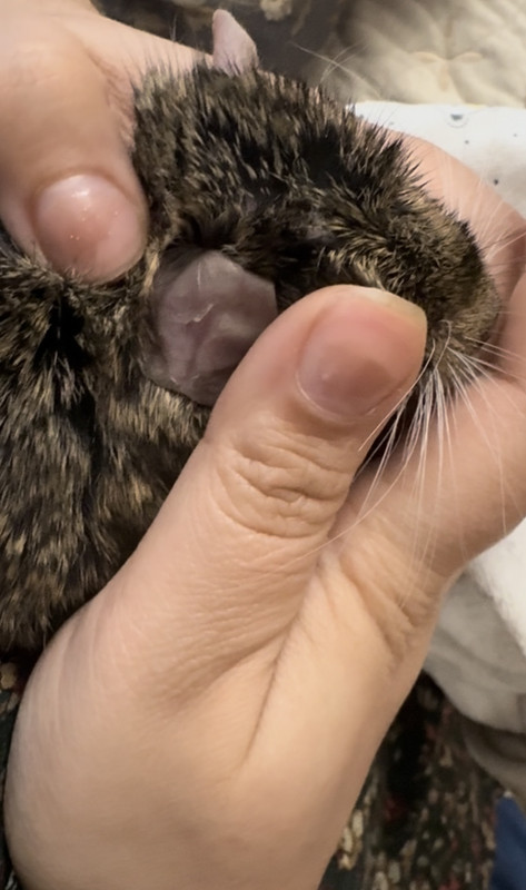 A9739897-5C0F-48B6-8F08-EFFBE7AF0950