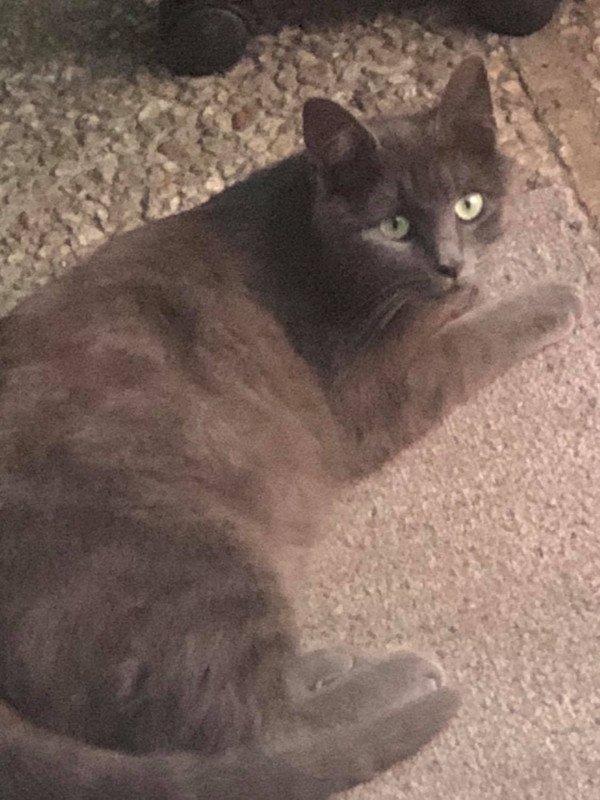 142440697_4983119781763068_2087514191415812882_n