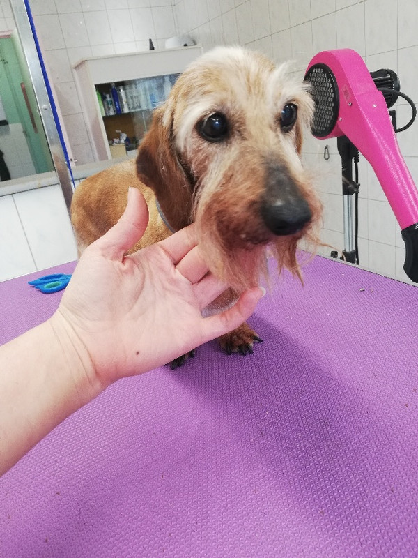 [Image: PART-1615905301147.jpg]