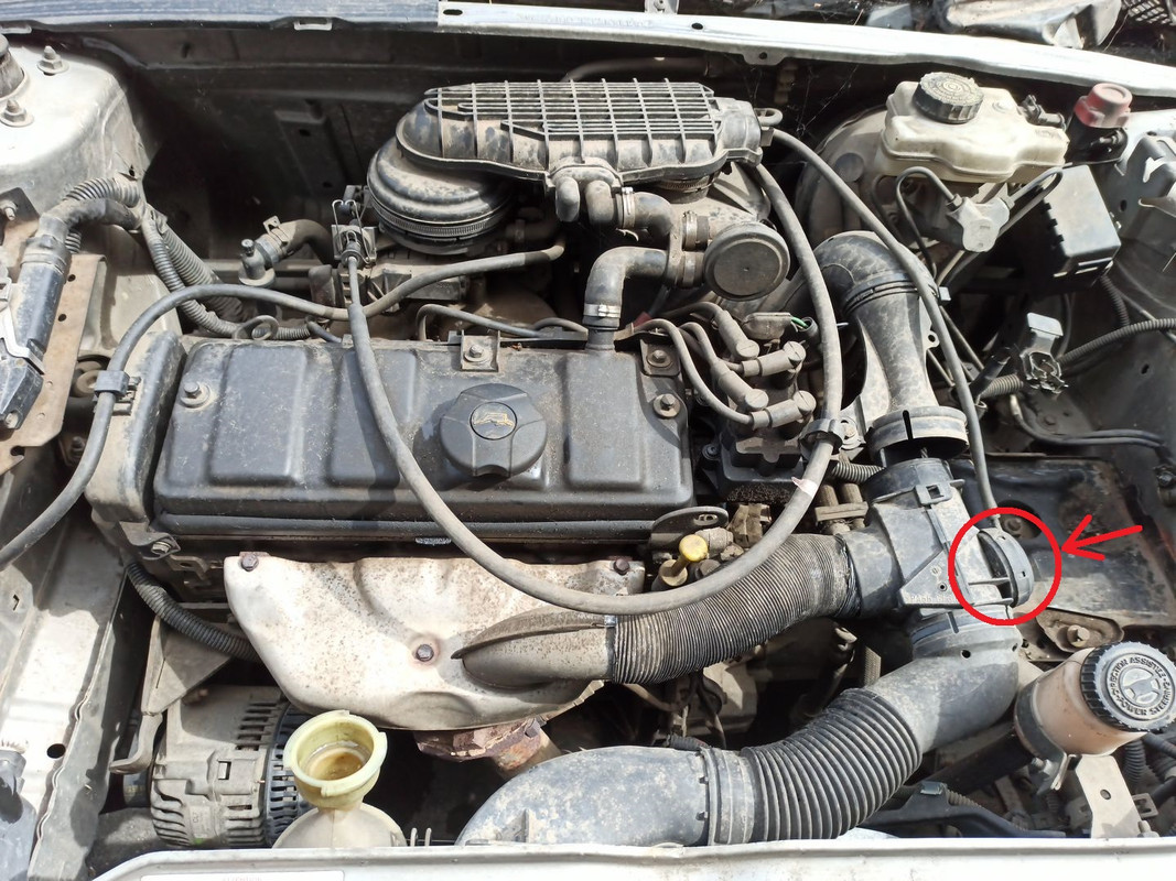 6h56ziv5k42fy0qhk47ur4ytbqp6exo7