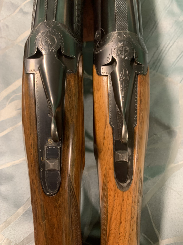 [Linked Image from i.postimg.cc]