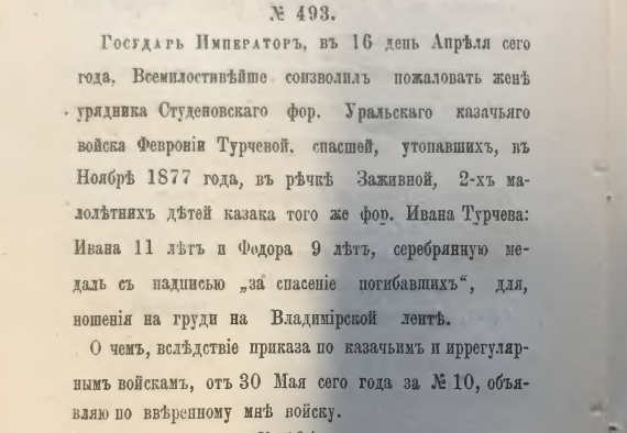 Турчева 1880г.
