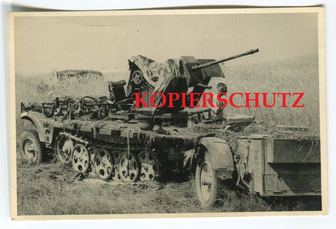 Original Foto SdKfZ Flak Geschütz Halbkette Kettenfahrzeug Zugmaschine 2. WK