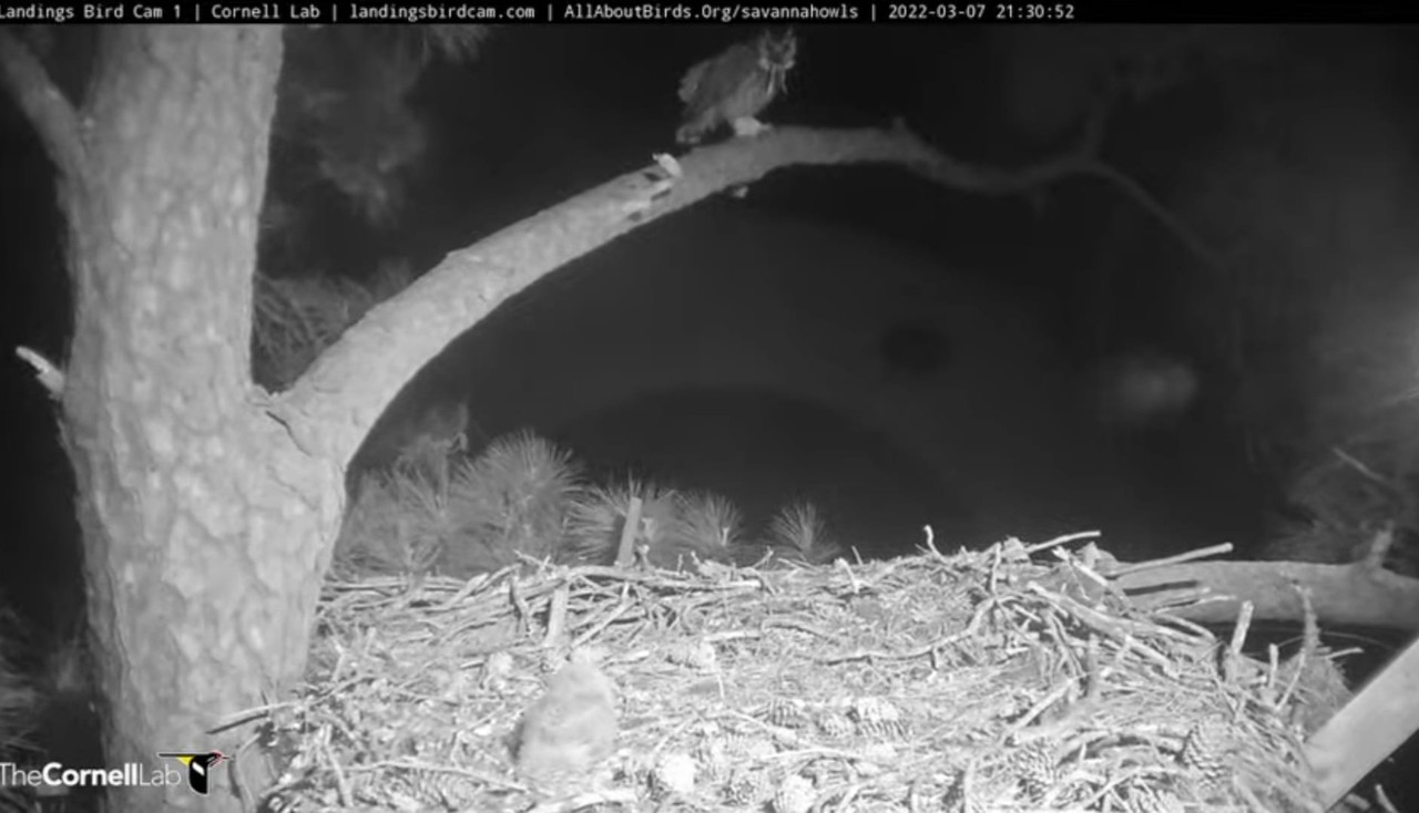 WhatsApp Image 2022-03-08 at 10.28.55 PM (1)