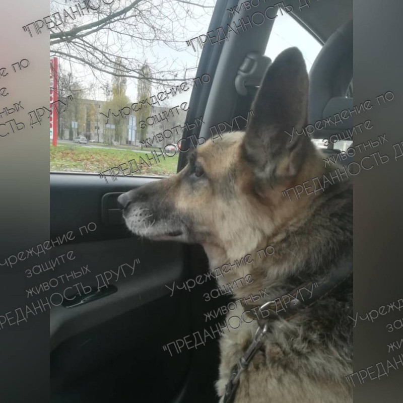 2999C838-C401-4505-B115-D770663519ED