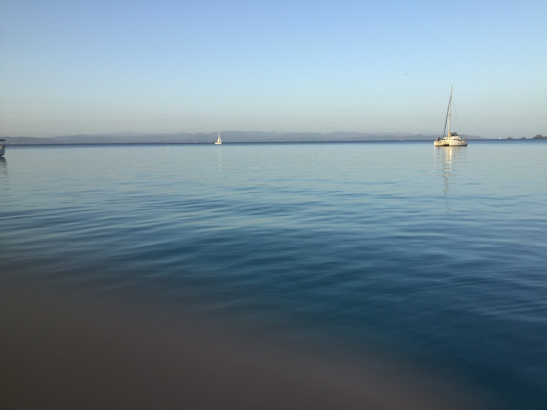 724F0E88-463A-4C87-A2E8-143A9B9CFD8B