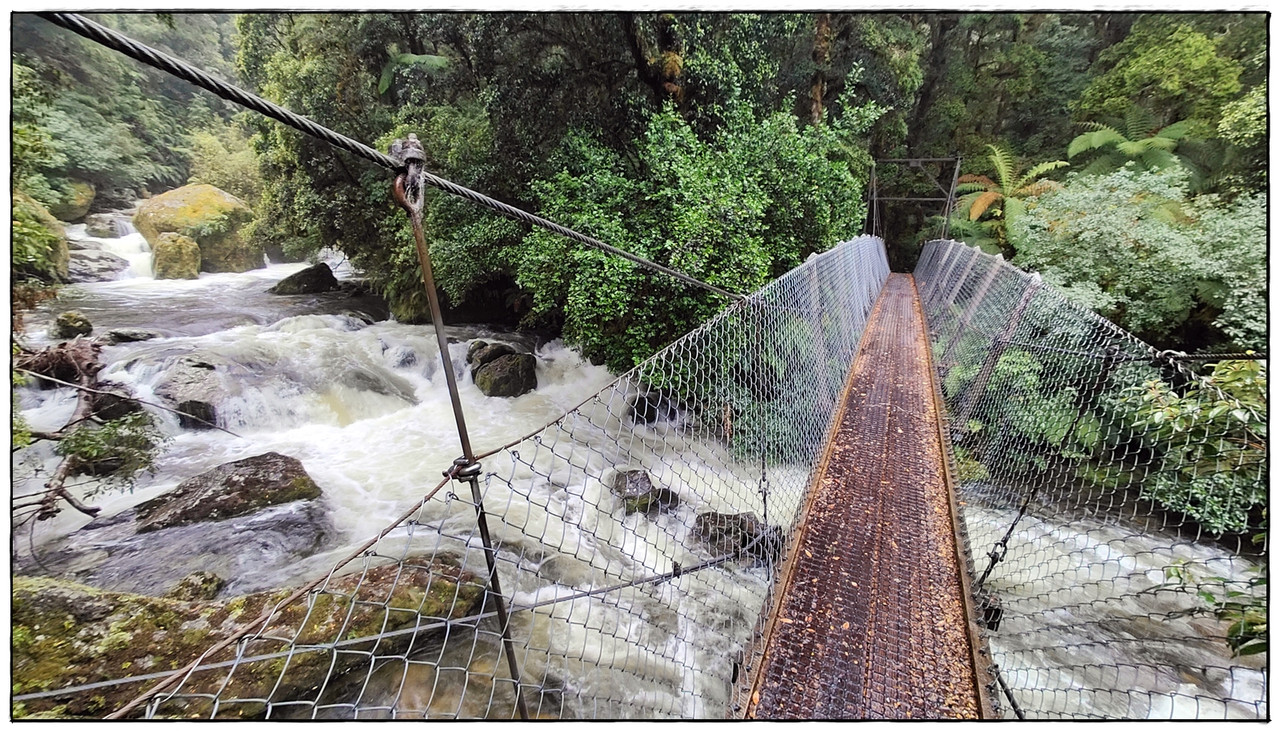 Fiordland NP: Milford Track (enero 2023) - Escapadas y rutas por la Nueva Zelanda menos conocida (59)