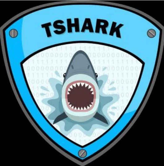 Traffic-Analysis-TSHARK-Unleashed.webp