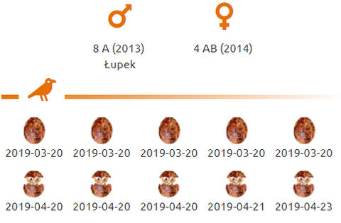 PGE Lublin Poland Przechwytywanie-w-trybie-pe-noekranowym-23-04-2019-190217