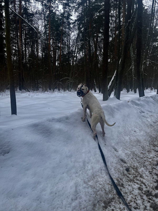 A29A0509-9FF0-4D9E-A8C7-2975A067B9FC