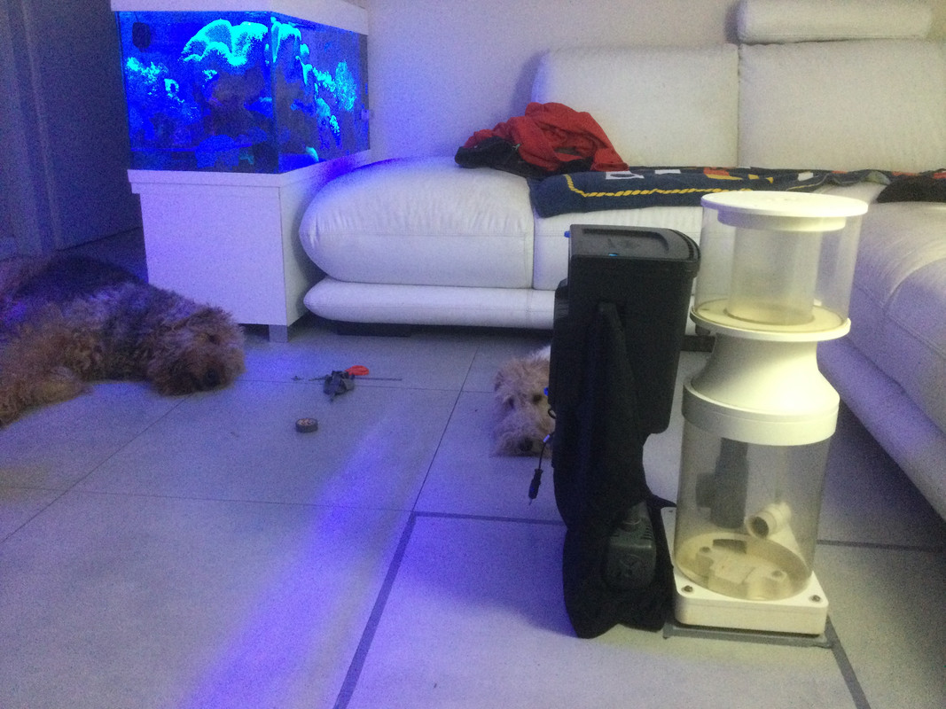 ACA3D35A-124F-48DA-B5A3-F76AC53A9594