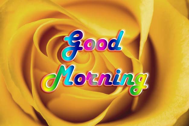 Good Day pictures, Good Day images, Good Day graphics, Good Day scraps, comments, Pics, Fotos, Photos, Facebook, Whatsapp, Instagram, Myspace, Hi5, Friendster and more day graphics