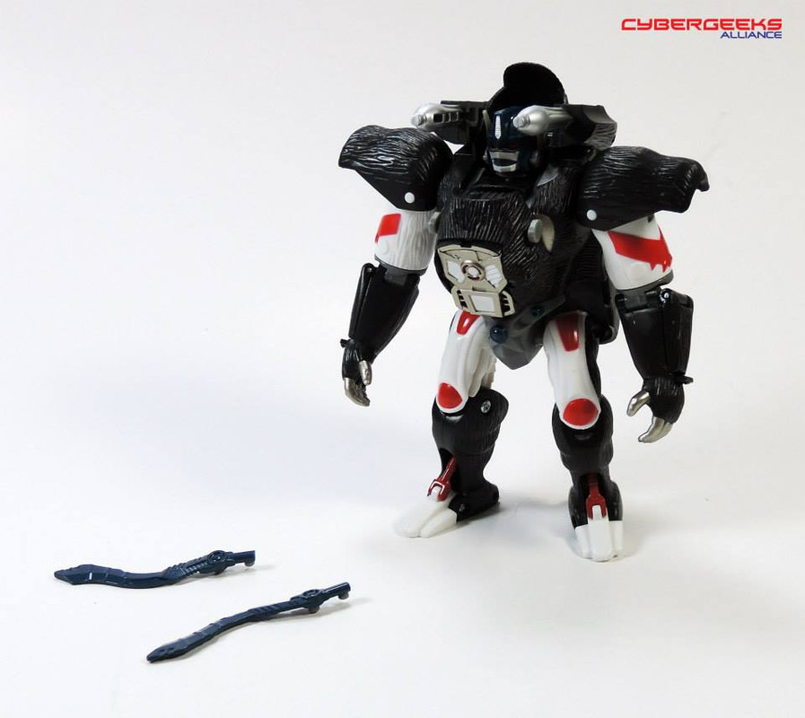 10428583_914085565270003_8582963858586501880_n