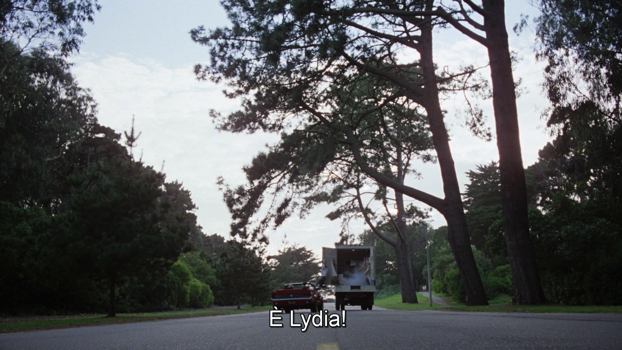 vlcsnap-2022-07-09-10h11m13s348