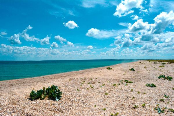 Арабатская Стрелка