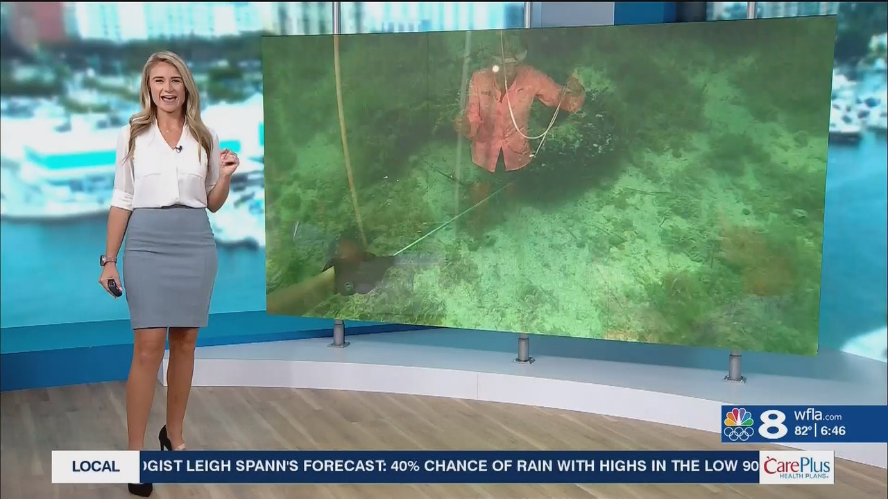 NewsChannel 8 Today at 6a_20240809_11001200.ts_snapshot_00.47.41.625