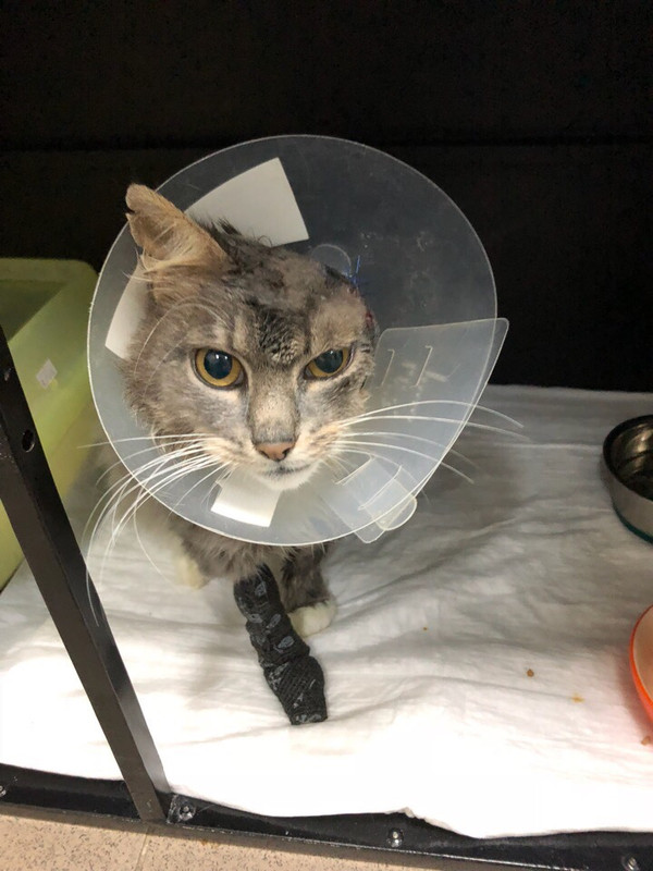 54C99CB8-4123-4BC1-81B5-AFF7C95BECFD