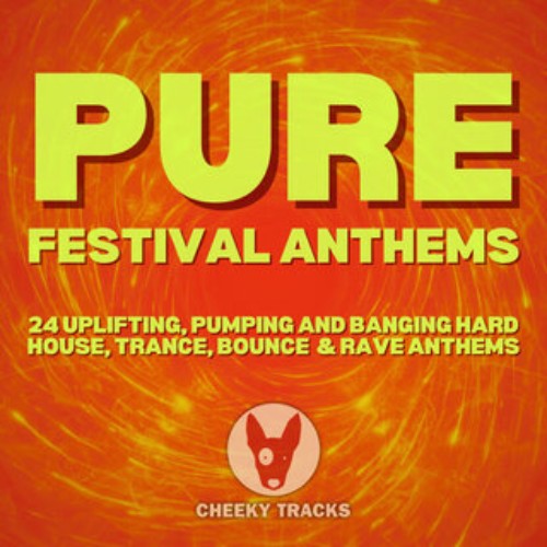 VA Pure Festival Anthems CHEEKA115 WEB 2026 Zz Zz