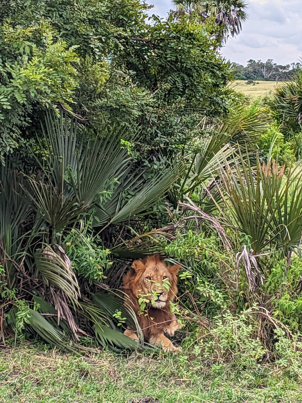 SGCAM_20250616_095720489