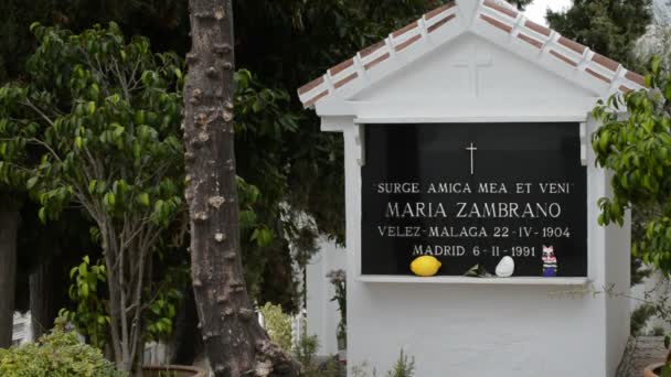 depositphotos-13426174-stock-video-maria-zambranos-grave-in-velez