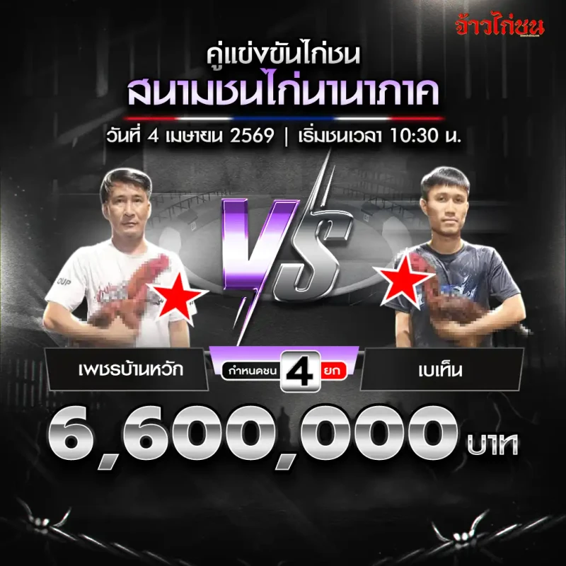 เพชรบ้านหวัก vs เบเท็น โปรแกรมไก่ชน สนามชนไก่นานาภาค