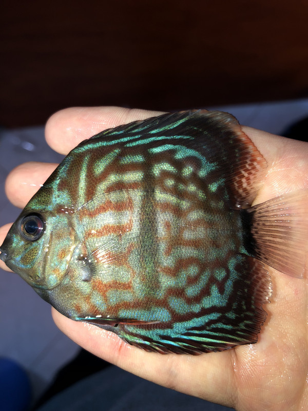 213F2052-192B-4B15-9529-8151FEB3DA04