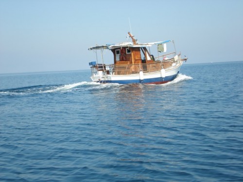 Slika