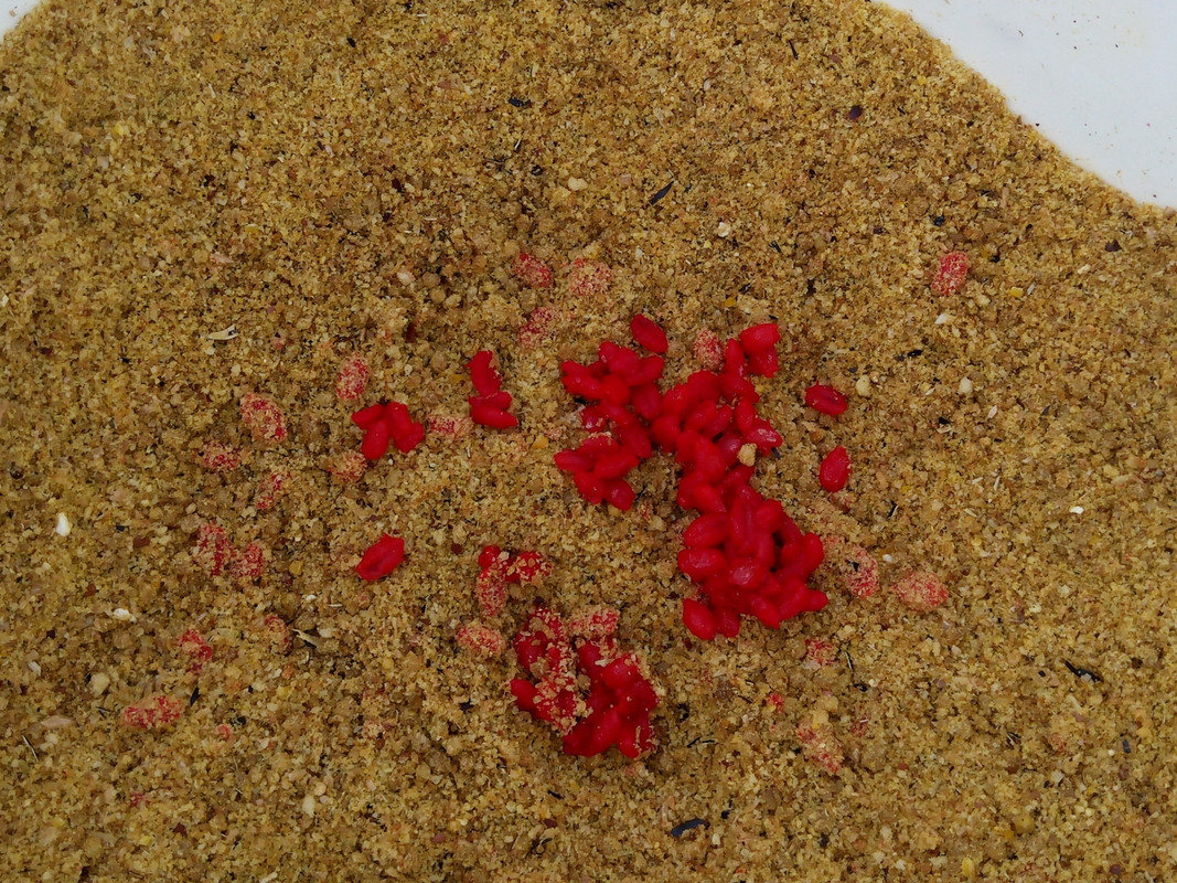 Кама за Гурино 08.08.15 02