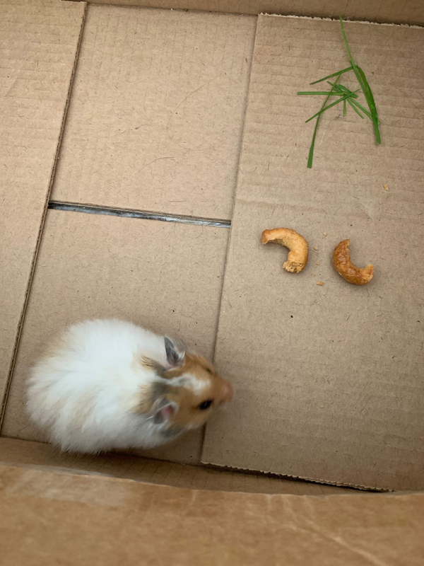 204BD056-379A-4AB6-A490-39E2E91F1E06