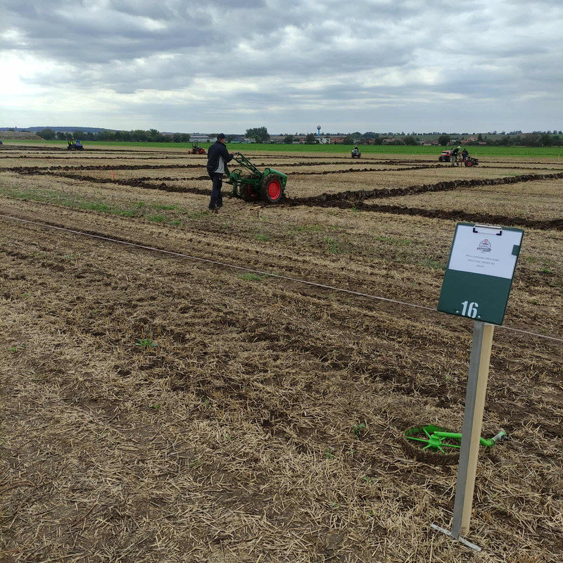 552423703_2027156091154269_614183468260908448_n