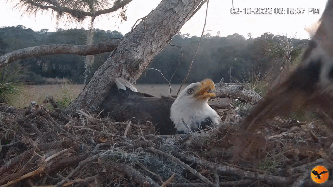 Webp.net-gifmaker (2)