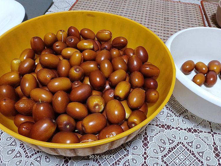 https://i.postimg.cc/pVSnJzVJ/jujuba-20260921.jpg