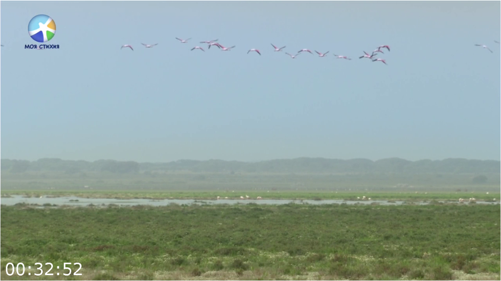 [Image: q72xocg0tx8x.png]