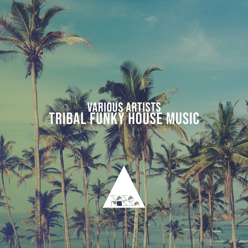 VA - Tribal Funky House (2020) mp3 320 Kbps
