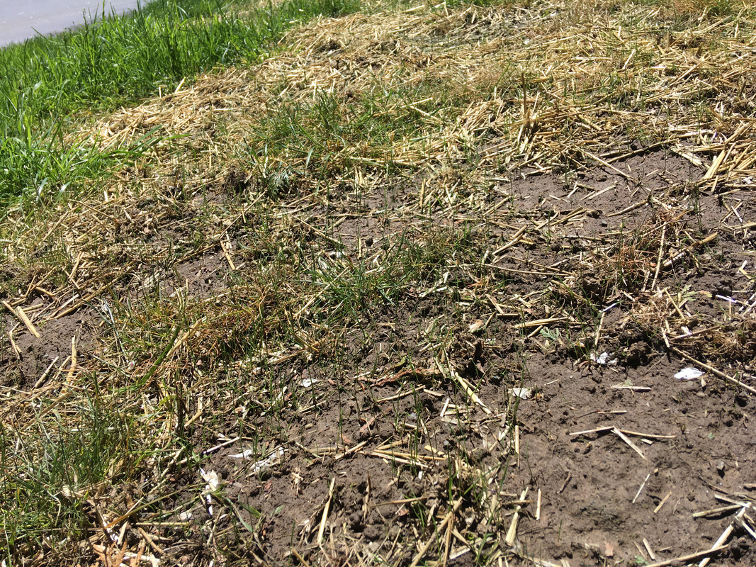 5D35C494-A72B-42EE-AFFC-F3D42977F243