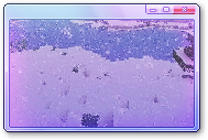 Ponytown Info