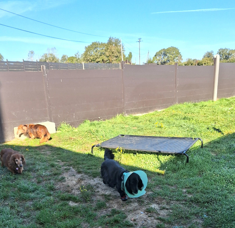 [Image: 20231001-102700.jpg]