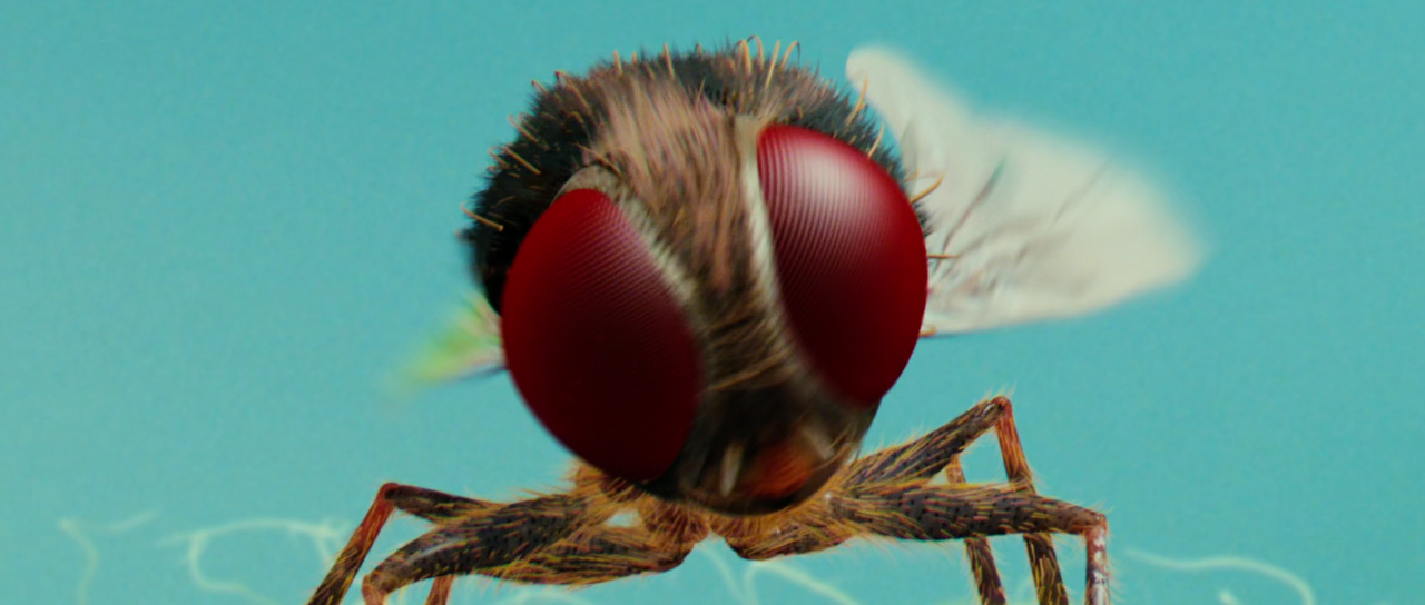 Eega (2012 Telugu Makkhi)[Bandi](1080p BluRay x265 HEVC 10bit 5