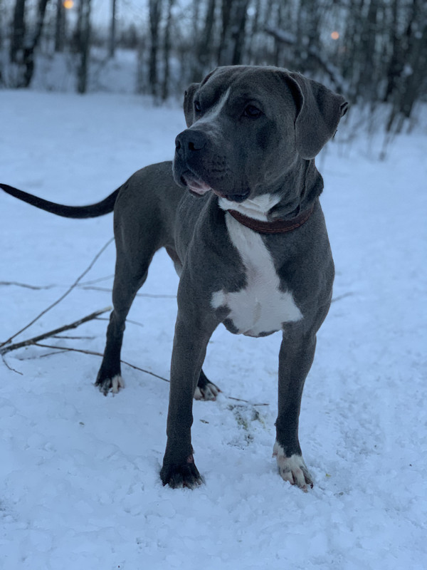 769D8E8F-1F86-43FC-A50D-AD5518857965