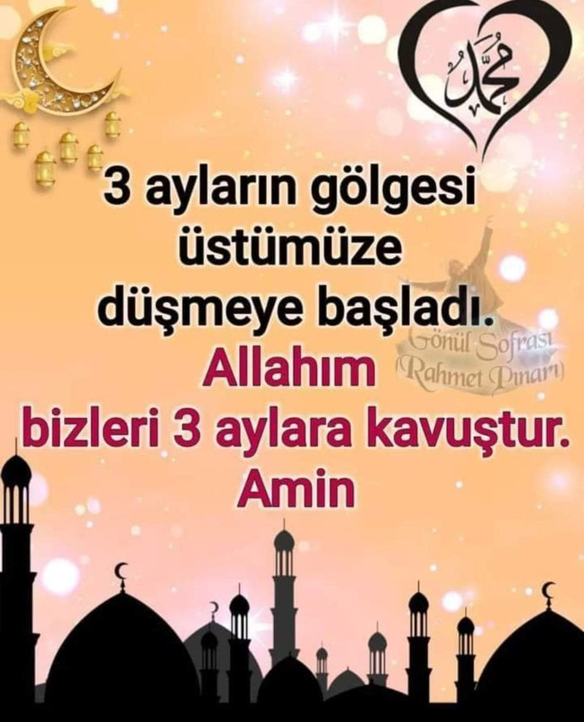 FB_IMG_1643646282517