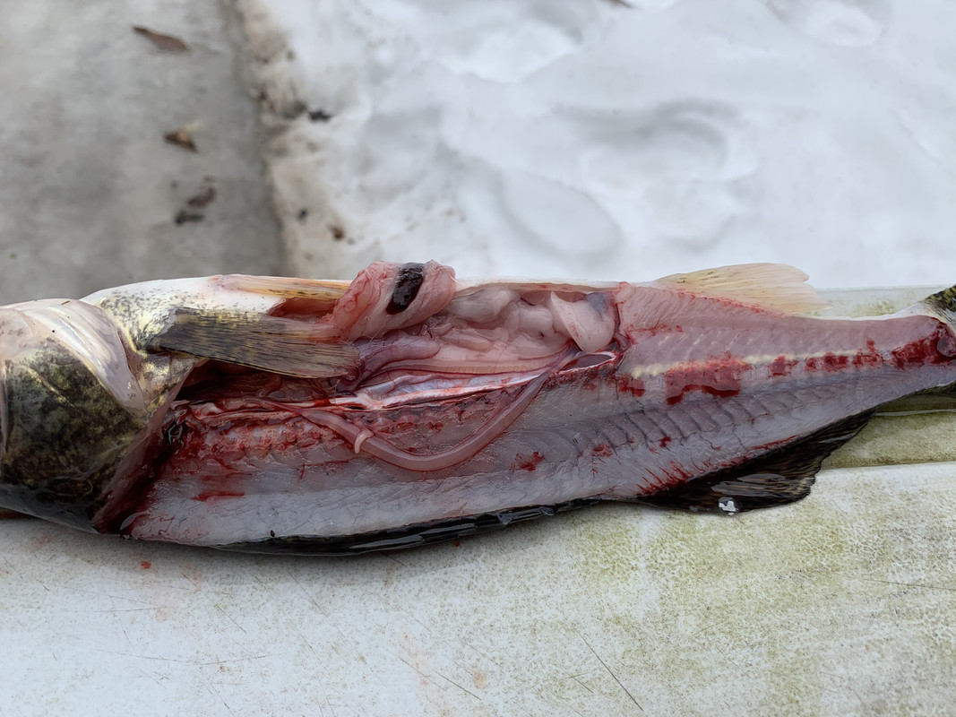 70C1641F-9C9A-4AB8-8FA5-4A51EDF7033B