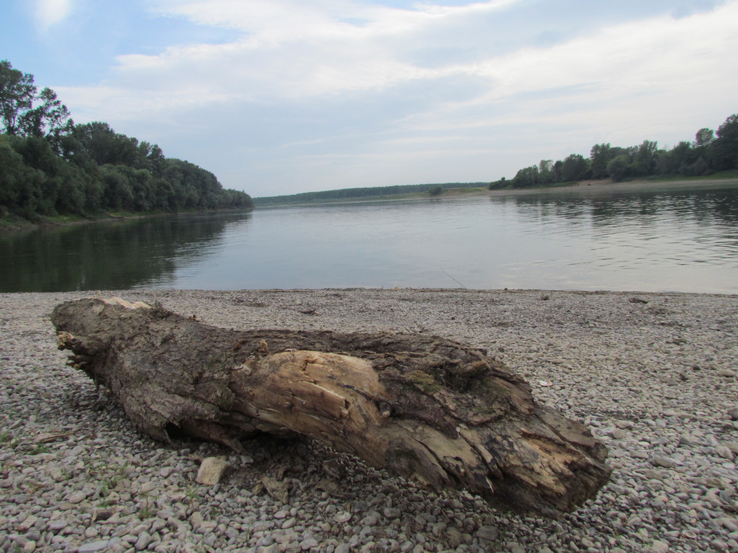 468. Vožnja čamcem 28.6.17-6