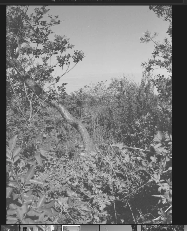 question-re-improving-exposure-in-camera-v0-hyc1hzj74c4f1