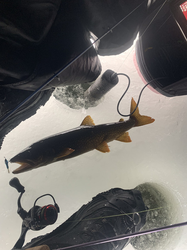 Ice Fishing - Tip Ups? - Adirondack Forum