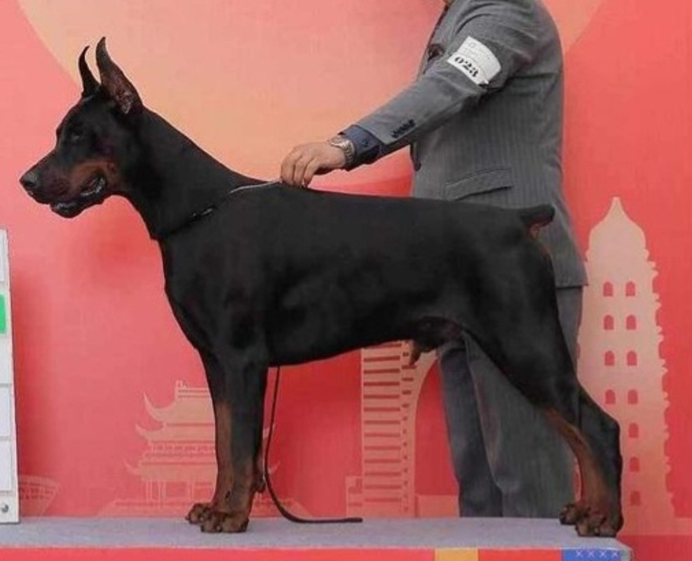 Screenshot_20240116_071305_Gallery