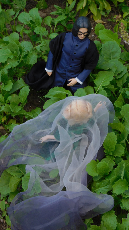 Дачное и  к Хелл сентябрь 2023 089