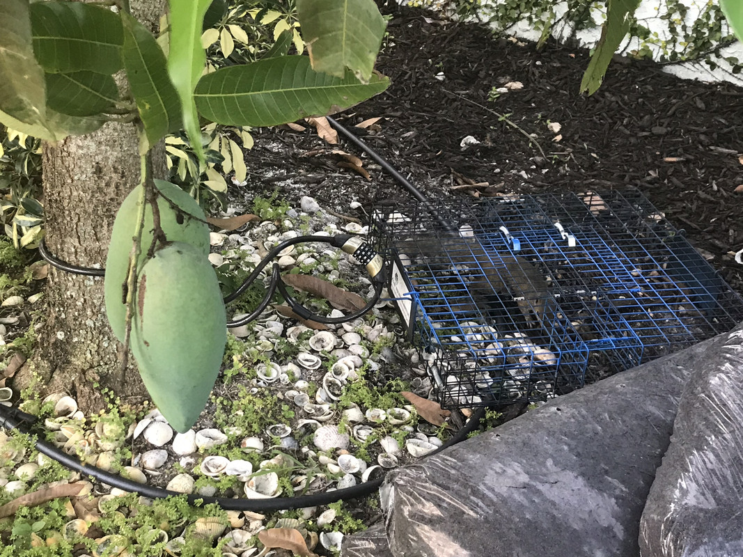 89E1D73E-6A6D-493E-A083-0F9760E040FF