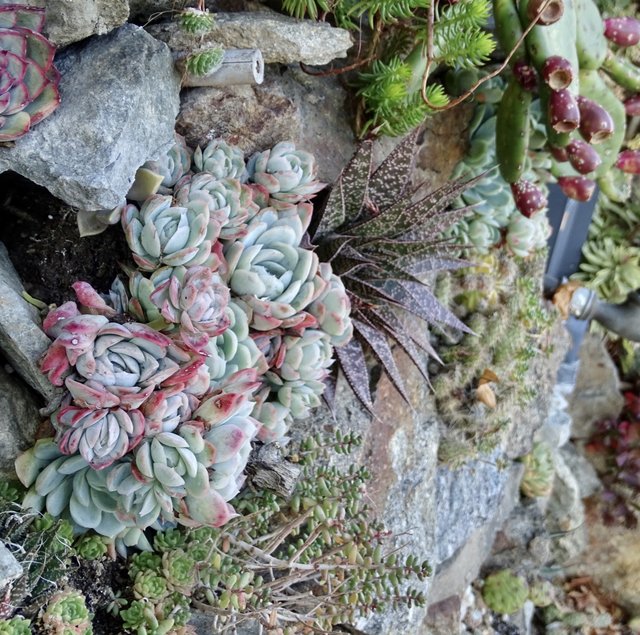 E3504541-B2E9-4DD6-B4B3-C0A867F111A6